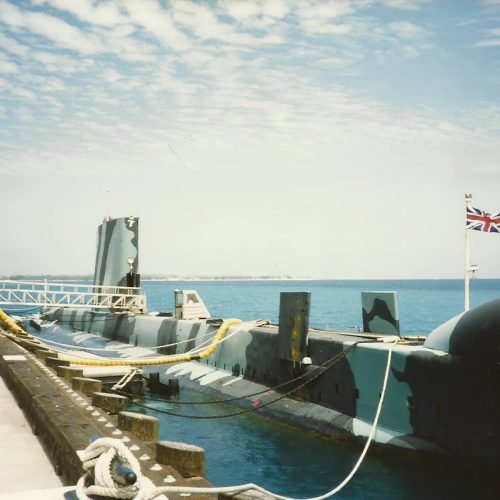 Opossum in war livery - Diego Garcia 1991 - Ian Moore's